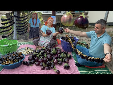 2 çuval patlıcanı kardeşim ve yengemle dolmalık dilmelik