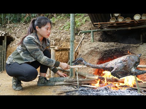 winter survival, wild chicken trapping skills, warm