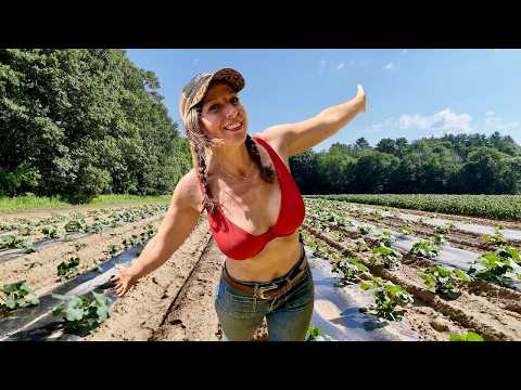Spend The Day With Me - Garden Planting, Home Chores & A