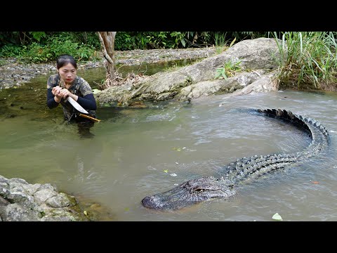 crocodile attack, catch stream fish, perfect survival