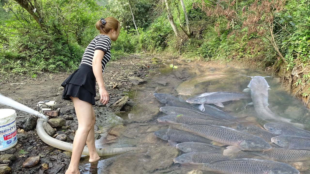 Fishing Videos: The Girl Skillfully Pumping Water Outside