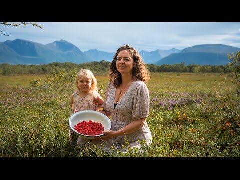 Berry Season in Northern Norway | A Rainy Summer Above the