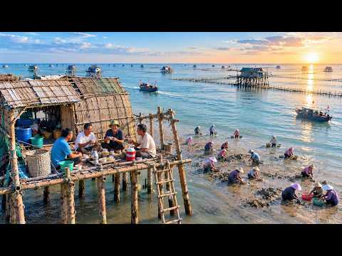 16 Hours With the Tides | Life on Vietnam’s Tidal Flats