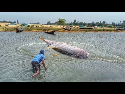 Unbelievable Cast Net Fishing Videos - Catching Amazing Net