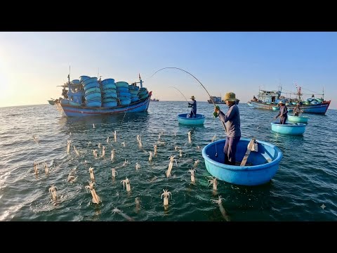 Trúng Ổ Mực Ở Điểm Gần Bờ, Hôm Nay Ai Nấy Cũng Câu Được
