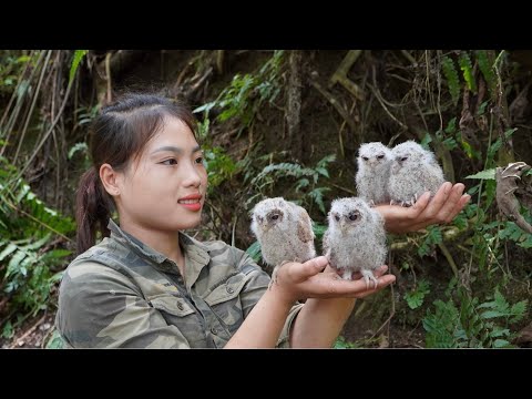 detecting nests of baby birds, skills in trapping wild