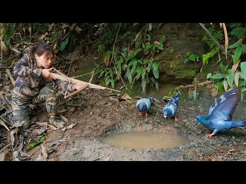 hunt wild pigeons, build a kitchen to make a sturdy