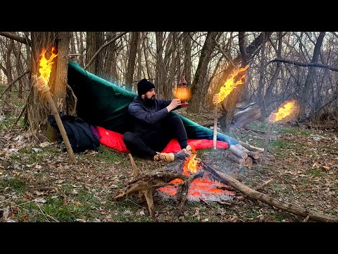 Solo Camping in Wild Forest Overnight at the Shelter