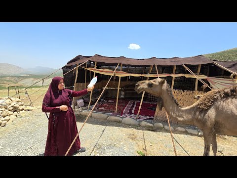 Challenging journey to the land of camels: The story of