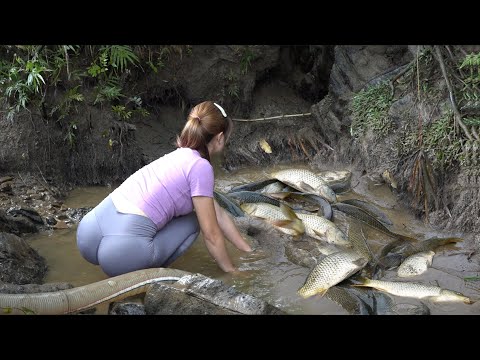 Top Video Fishing : Fishing Technology, Unique Fishing,