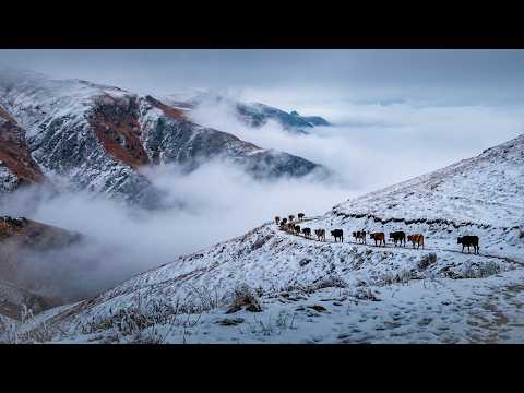 Kışla Gelen Göç - Dağlara Veda Belgesel Film