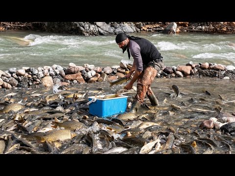 Using an ingenious trap, he caught 200 kg of fish in the