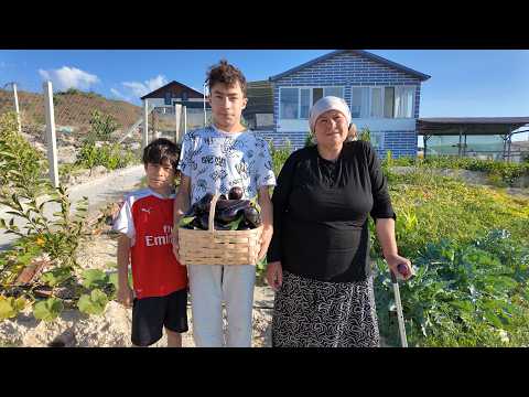 TORUNLARIMLA BAHÇE HASATI YAPIYORUZ HASTIMIZDA NELER VAR