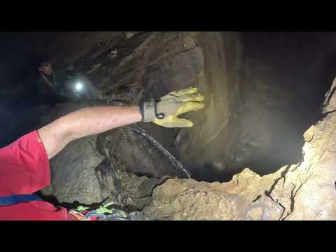 Nightmare Cave With Swarming Bats
