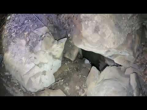 Deep Mystery Holes In The Forest