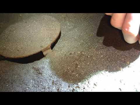 Abandoned Atlanta Quarry Yards Exploration