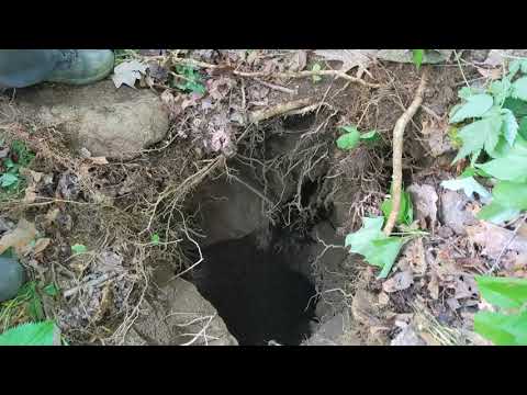 Camera Lowered Into Unexplored Mineshaft