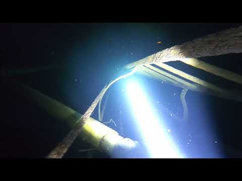 Go Pro Hero 8 underwater Depth Test No Case