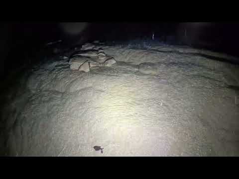 Crazy 220 Foot Hole In The Woods