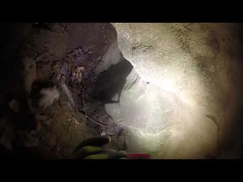 Exploring Unmapped Caves On Pigeon Mountain