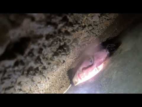 Forced Underwater Inside A Cave