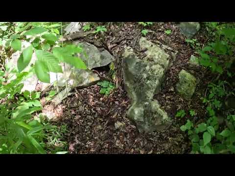 2 Guys Take A River To The Center Of The Earth