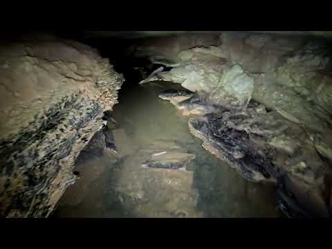 Secret Tunnel Leads Directly Under The City