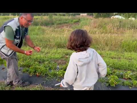 Araç üstü çadır ile yolculuğun 3 Haftası Rotanın süpriz
