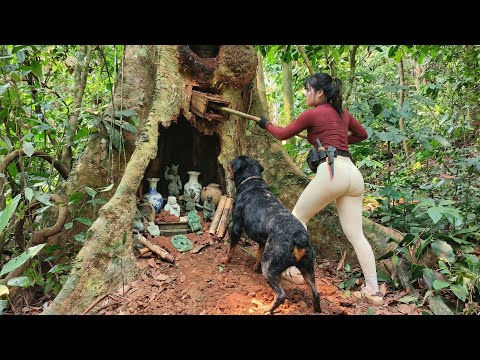 Lost for Centuries My clever dog helped me find a treasure