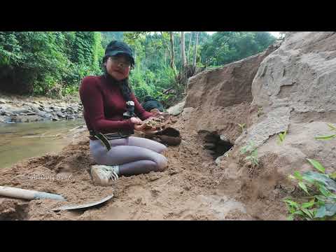 A year old Chinese treasure has been discovered by me and