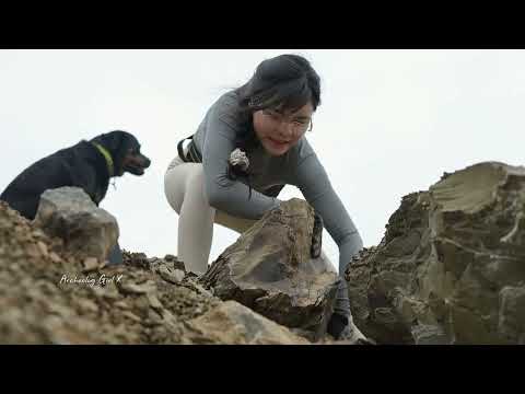 The world is on a hunt my clever dog and I have unearthed