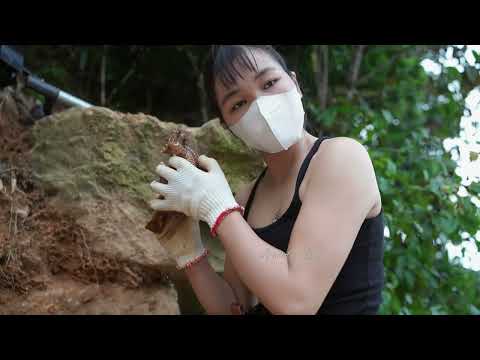 Young Girl Moved a Giant Rock What She Found Beneath It Was
