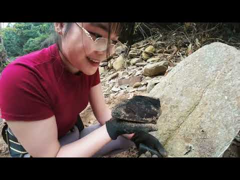 We Found Ancient Treasure lost in Europe Metal Detecting