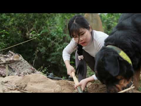 My clever dog helped me find a treasure that would shake
