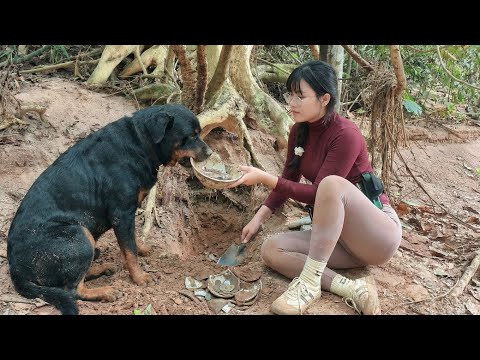 My clever dog and I embarked on a quest to find a lost