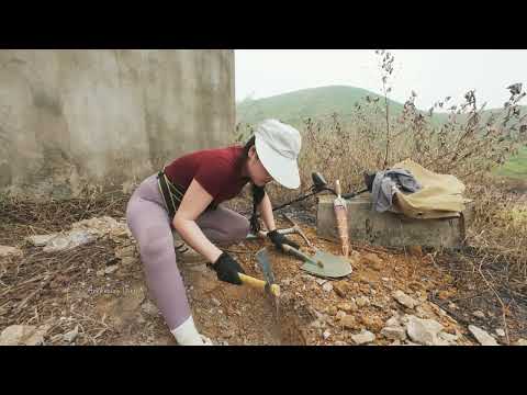 Discovery of Chinese treasure inside an abandoned house