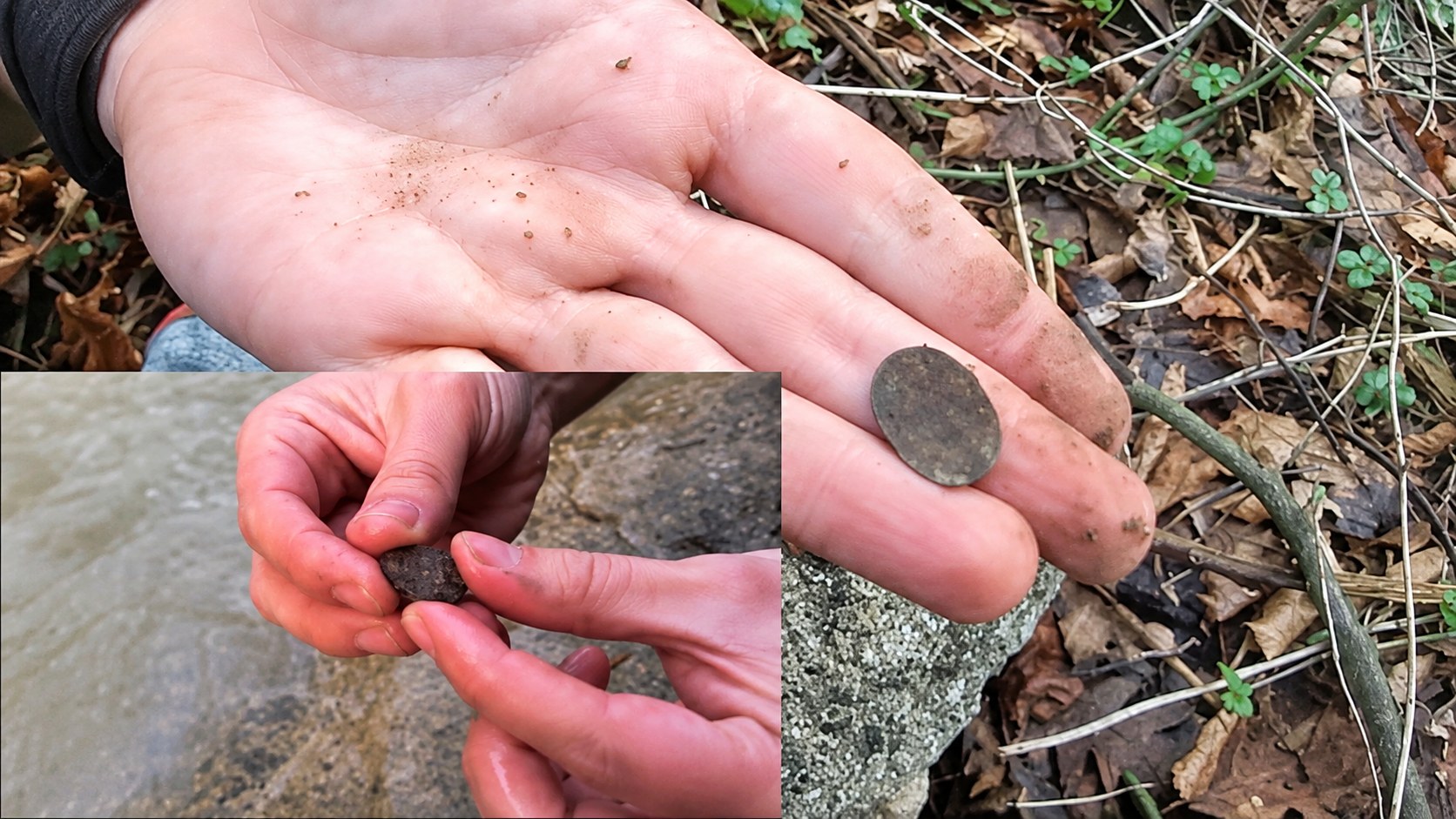 Treasure Finding / Real Treasure