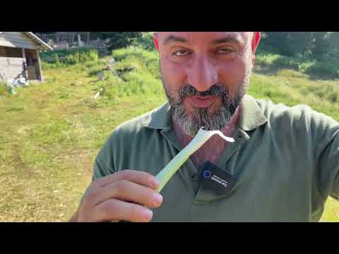 EN ÜRPERTİCİ KAMP