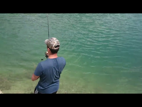 115 cm Dev Turna Avı Giant Pike Fishing