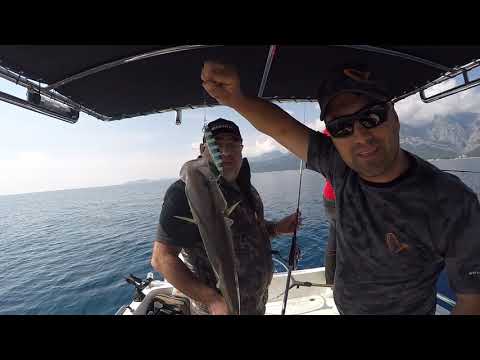 İlkokul Çocuğundan Muhteşem Jig Performansı Bol Balıklı Av
