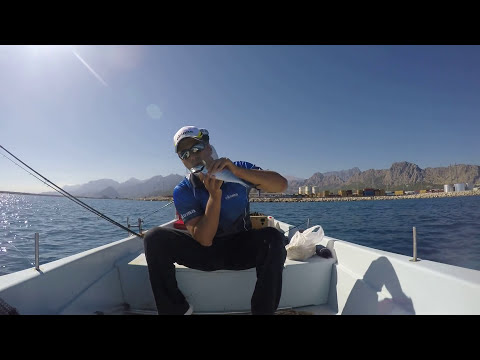 Yazılı Orkinos ve Tral Şov Light Jigging For Little Tunny