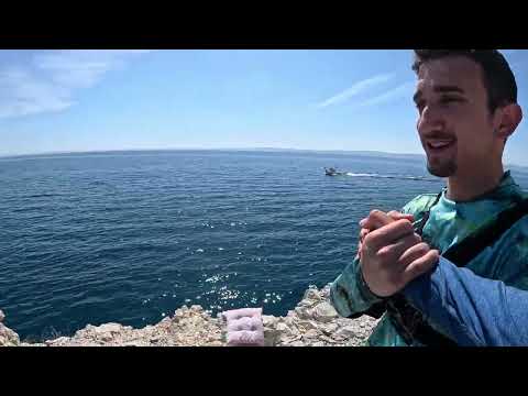 Uçurumun Kenarında Kıyıdan Dev Orkinoslar Yakaladık