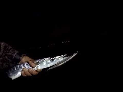 Savage Gear Sandeel Jerk Minnow 175 Yine Kaptı Baraküdayı