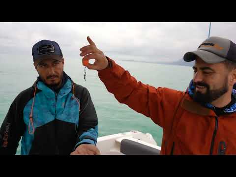 Akdeniz in En Pahalı Balığını Yakalayıp Mangalda Pişirdik