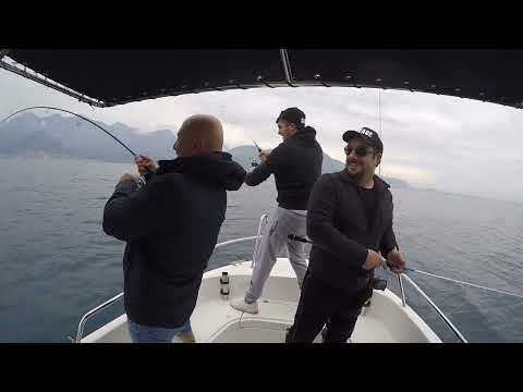 Yok Böyle Bir Balık Bolluğu Amberjack Jigging Mayhem