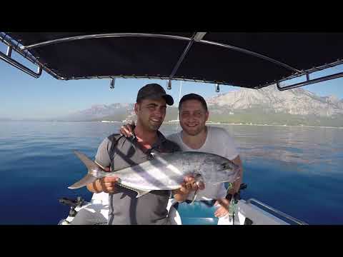Tekirdağlı Bacanaklar Kuzu Şov Yaptı Amberjack Jigging Show