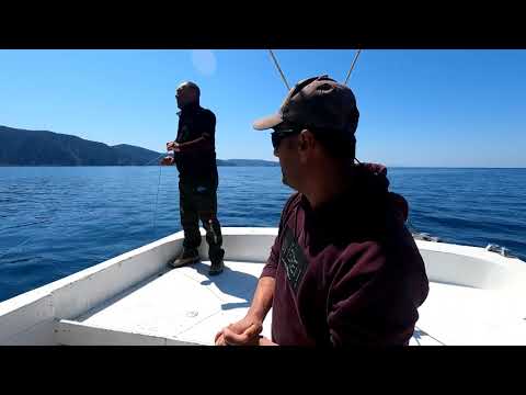 Mızrakla Dev Kılıç Balıkları Yakaladık Swordfish Harpooning