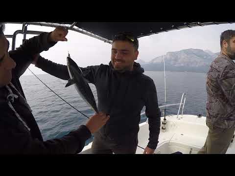 Bugün Torpidoların Günüydü Çok Keyifli Bir Light Jigging Avı