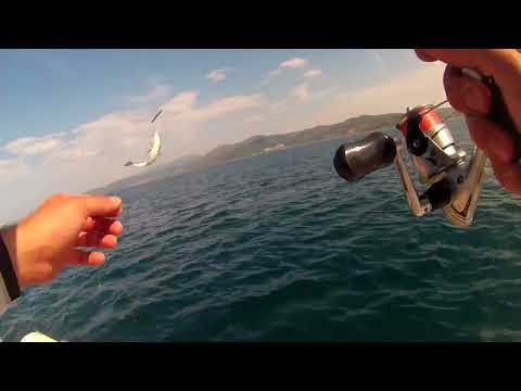 Savage Gear Slim Minnow Jiglerle Bereketli Bir Av Daha
