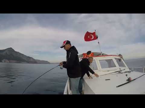Light Jigging Kuzu Avı Amberjack Live Strike